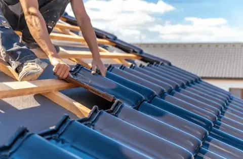 Couverture - Lesches